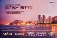 民发·大观天下玖境广告欣赏（6.1）