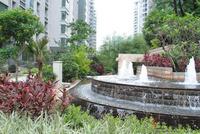 项目实景图（6.21）