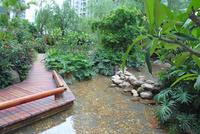 项目实景图（6.21）