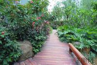 项目实景图（6.21）