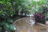 项目实景图（6.21）