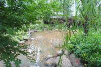 项目实景图（6.21）