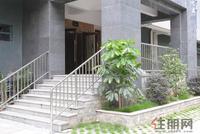项目园林实景图(5.22)