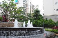 项目园林实景图(5.22)