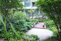 项目园林实景图(5.22)