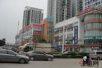 荣宝华·盛世江南实景图(4.9)