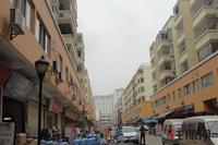 荣宝华·盛世江南实景图(4.9)