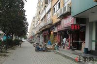 荣宝华·盛世江南实景图(4.9)