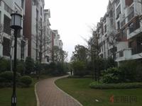 融晟·公园大地实景图(3.15)