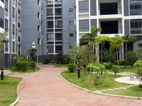 2012.9.20港南1号小区实景图