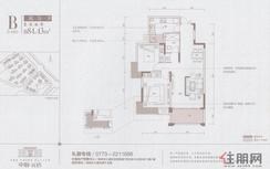 【中海元居户型】