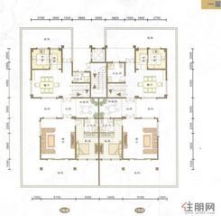 【信昌穿山18号户型5】