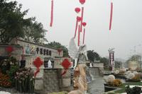 平果碧桂园实景图（11.3） 