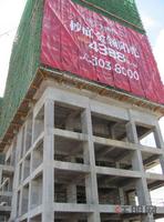 金领阳光实景图2012-7-21