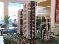 金领阳光实景图2012-7-21