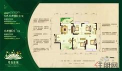 【5#、6#楼D1，6#楼D1'户型】4室2厅2卫1厨