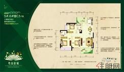 【5#、6#楼C3户型】3室2厅2卫1厨