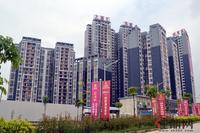 大嘉汇·东城实景图