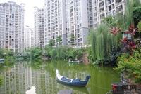 8月26日 莱茵湖畔实景