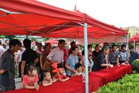 文华新城4·29举办"欢聚新城"游园活动