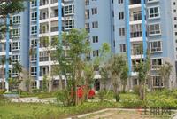 中南锦绣海岸实景