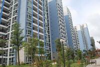 中南锦绣海岸实景