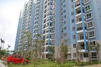 中南锦绣海岸实景