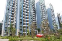 中南锦绣海岸实景