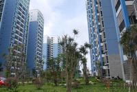 中南锦绣海岸实景