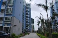 中南锦绣海岸实景