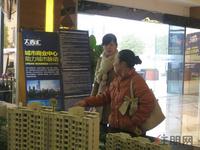 大商汇国际住区二期新品预约(2.18)