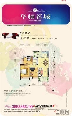 【户型图曲线 02】3室2厅1卫1厨1阳台