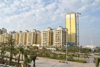 2012年12月实景图