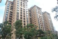 2012年12月实景图