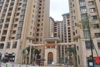 2012年12月实景图