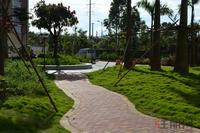 一品湾实景图2012-8-27