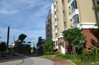 一品湾实景图2012-8-27