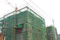 牛顿@苹果建设实景