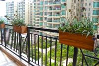 梦之岛花园阳台实景图(9.18)