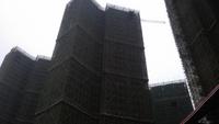 2012.12.25天健·世纪花园实景图