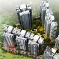 2011.1.17丽泽风貌图2