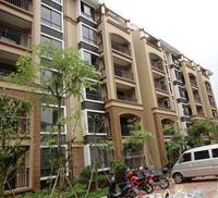 同和泊湾实景图2012-12-26 