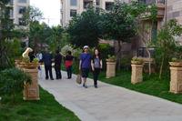 碧园·海语城实景图2012-12-26