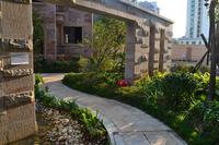 碧园·海语城实景图2012-12-26