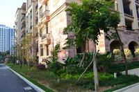 碧园·海语城实景图2012-12-26