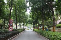 人和·莱茵湖畔实景图(2012.10.17)
