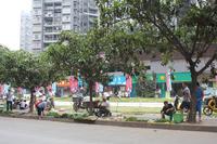 人和·莱茵湖畔实景图(2012.10.17)