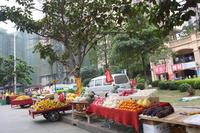 人和·莱茵湖畔实景图(2012.10.17)