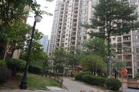 人和·莱茵湖畔实景图(2012.10.17)