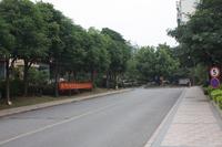 梦之岛花园实景图(2012.10.17)